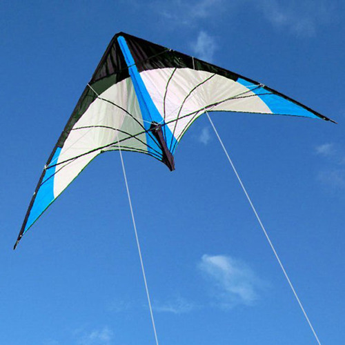 48/72 Inch Double Line Acrobatic Kite Adult Power Kite With Handle And Line New